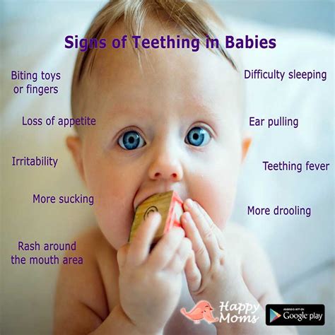 Teething in Babies: Symptoms, Remedies & Timeline – Happy Moms