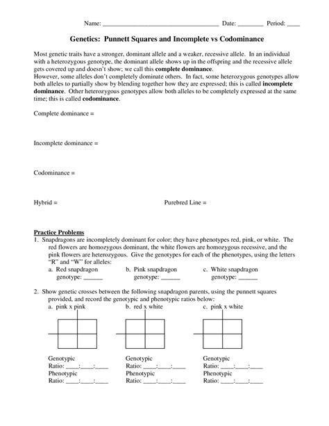 Punnett square practice problems (codominance) - YouTube - Worksheets Library