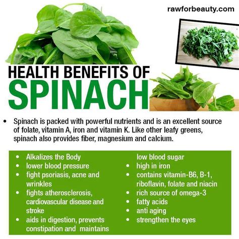 Group X News: Health Benefits of Spinach