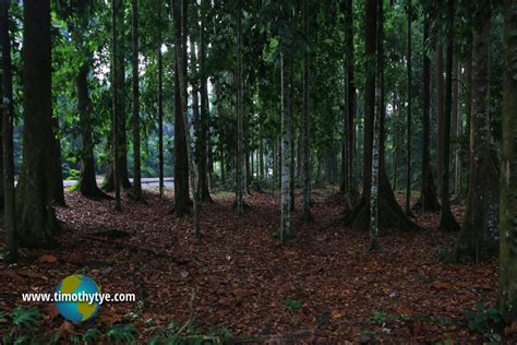 Forest Research Institute Malaysia, Selangor, Malaysia