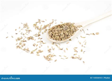 Aniseed for Tea on Wooden Spoon Isolated on White Background Stock Photo - Image of aniseed ...