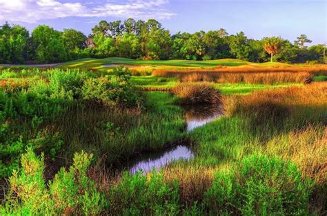 The 9 BEST public golf courses in Charleston!