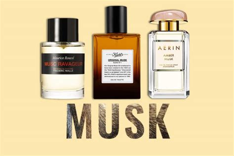 Best Musk Perfumes in 2025 - FragranceReview.com