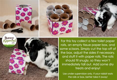 diy rabbit toys - Google Search | Diy bunny toys, Pet bunny rabbits, Diy toys for rabbits