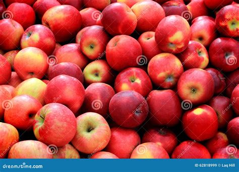 Bushel of Red Apples stock image. Image of color, fresh - 62818999