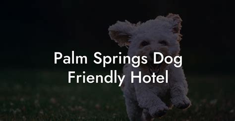 Palm Springs Dog Friendly Hotel - Dog Hotels