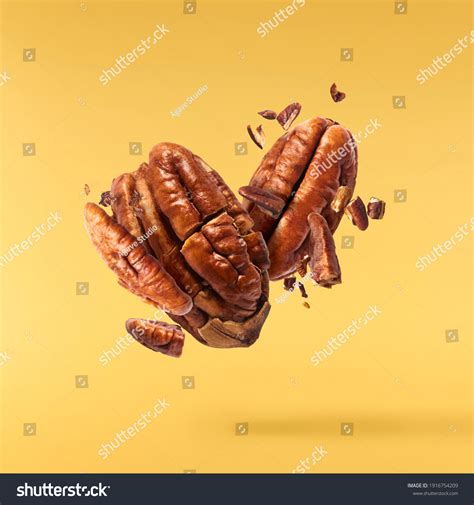 1,256 Nut burst Images, Stock Photos & Vectors | Shutterstock