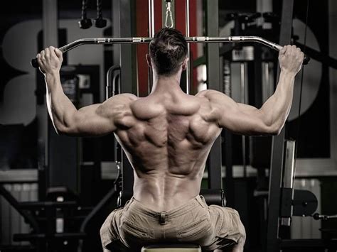 10 Best Deltoid Workouts and Exercises Using Machines - Old School Labs