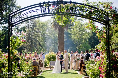 Archive for Tag "McKinley Park Rose Garden" | Sarah Dawson Photography