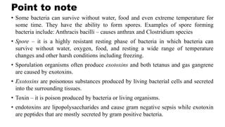 CLASSIFICATION OF BACTERIA FOR STUDENTS.pptx