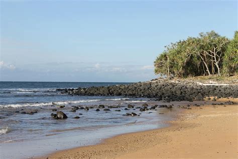 Mon Repos Beach - Family Parks