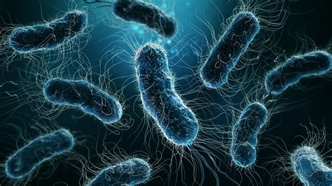 Antibiotic-Resistant Evolution of E. coli Mapped Using Fitness Landscapes