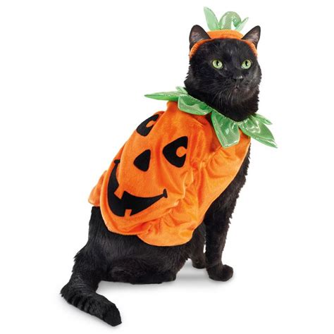 Petco Pumpkin Halloween Cat Costume | Pet costumes, Pet halloween costumes, Cat halloween costume