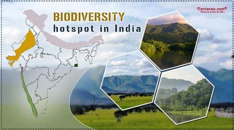 Biodiversity hotspots in India | hotspots of biodiversity in India | Biodiversity, Hot spot, India