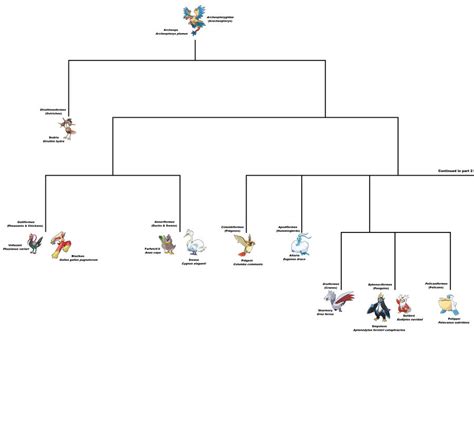 Evolution of Bird Pokemon part 1 by Blue-Heracross on DeviantArt