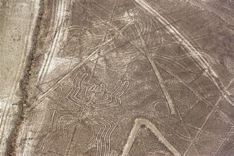 Nazca Lines Spider Photograph by Jess Kraft - Fine Art America