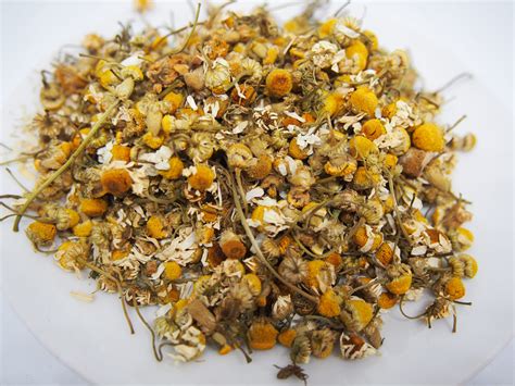 Camomile Flower – House of Coffee