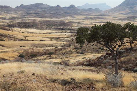 Namibian Landscape on Behance