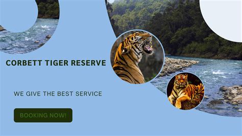 Corbett Tiger Reserve by Corbett Tiger Reserve - Issuu