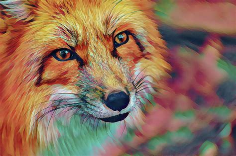 Colorful Fox Digital Art by Terry Davis - Pixels