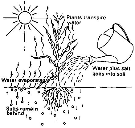 CHAPTER 7 - SALTY SOILS