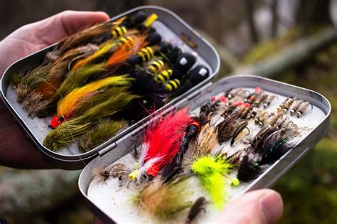 10 Best Wet Flies For Trout (2022 Buyer's Guide) - Into Fly Fishing