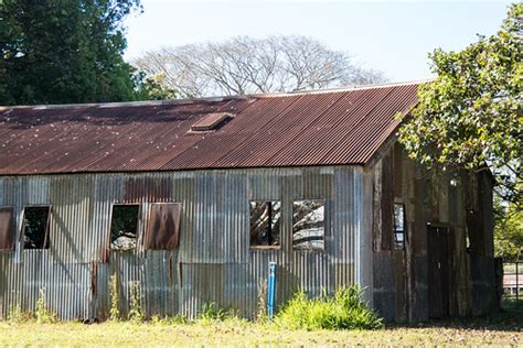 Corrugated Iron Shed | corrugated iron shed near Hasties Swa… | Rae Allen | Flickr