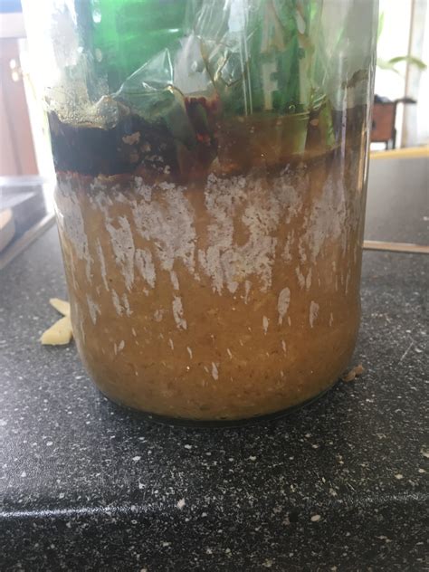 Fermenting miso: After 3 months white spots appeared, is it mold or just koji? : r/fermentation