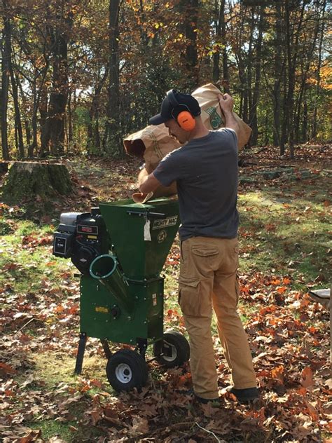 Leaf Mulching: 4 Easy Steps for a Green and Healthy Yard - Green That Life