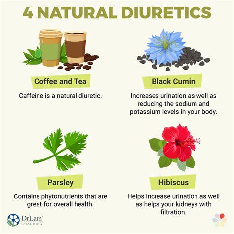 The Top Natural Diuretics And How They Help Your Metabolism, 52% OFF