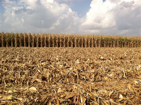 [Webinar] Managing Crop Residue Decomposition — Turning Trash Into A ...