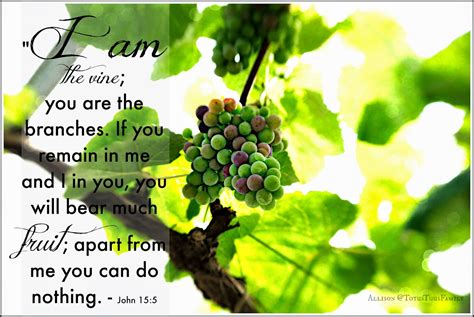 John 15:5 The Vine Bearing Fruit - Totus Tuus Family & Catholic Homeschool