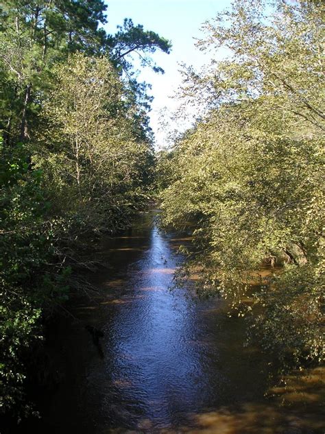 Houston Nature Walks: Lake Houston City Park (NEW)