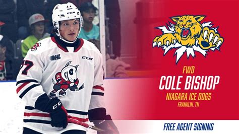 Wildcats add Cole Bishop to roster – Moncton Wildcats