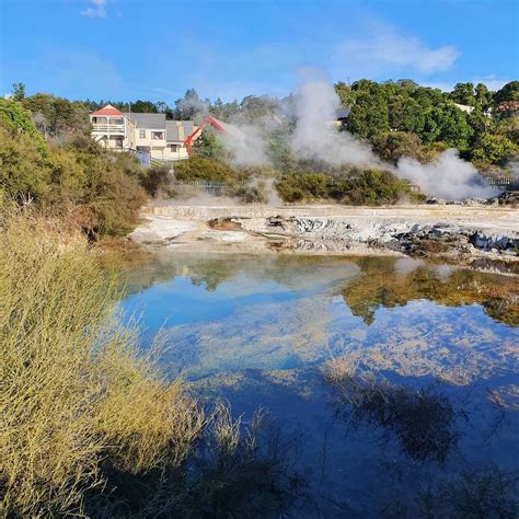 Rotorua and Geothermal Living Maori Village Tour 2021 - Tauranga