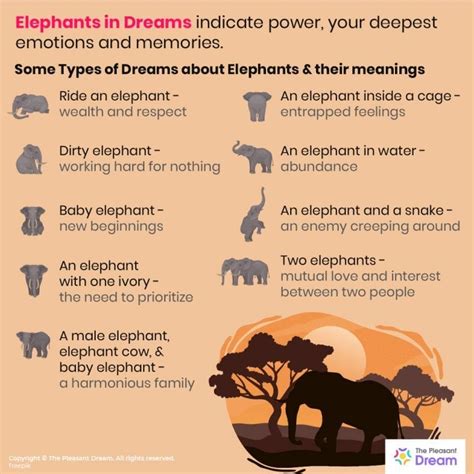 Elephants in Dreams : 94 Types & Their Meanings | ThePleasantDream