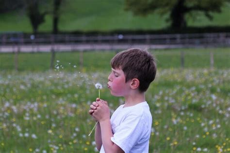 Premium Photo | Boy blowing dandelion seed on lawn