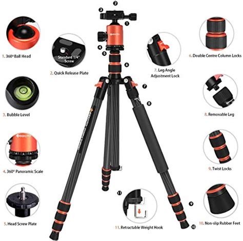 Best Tripods for Wildlife Photography (Top 6 Options) - Wildlife Informer