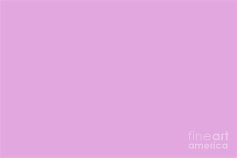 Dark Pastel Pink Purple Solid Color From The Crayon Box Inspired by Razzle Dazzle Rose Digital ...