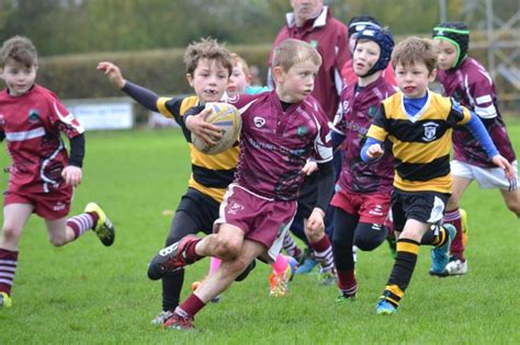 Portarlington RFC minis showcase club's youth development in blitz with ...