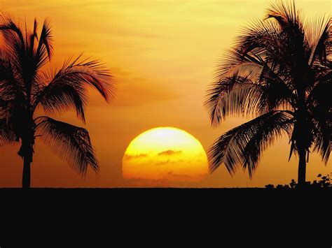 Sunset Hawaii Beach Wallpapers - WallpaperSafari