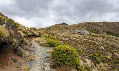 Fiordland National Park: The Complete Guide