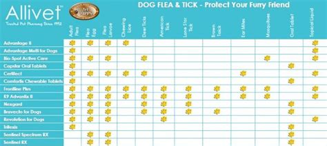 Flea And Tick Chewables For Dogs Comparison