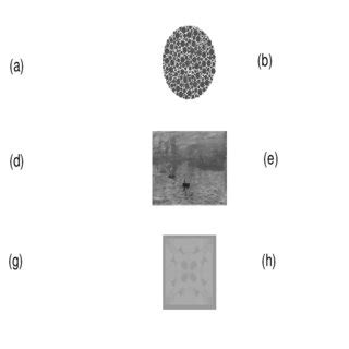 Color-to-gray image conversion obtained using two different methods ...