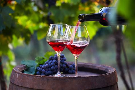 The 13 Best French Wines to Drink in 2022 | Red wine, French wine, Wine