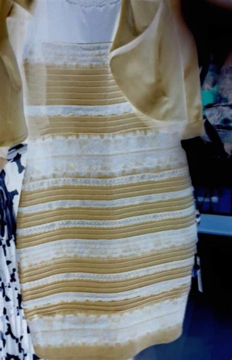 The Black and Blue, White and Gold Dress Finally Explained! - ZENIA