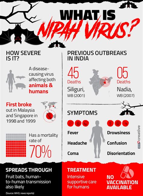 Nipah Outbreak Tied to a Well With ‘Many Bats’ in Kerala, Symptoms ...