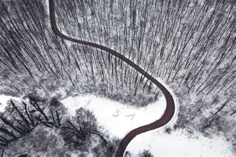 Premium Photo | Winter forest and road top view