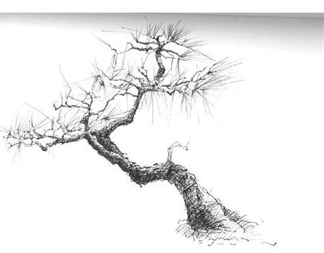 Bonsai Tree Tattoos, Japanese Bonsai Tree, Prunus Mume, Pencil Trees ...