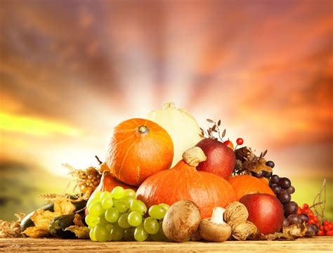 Autumn Fruits Background | Gallery Yopriceville - High-Quality Images ...